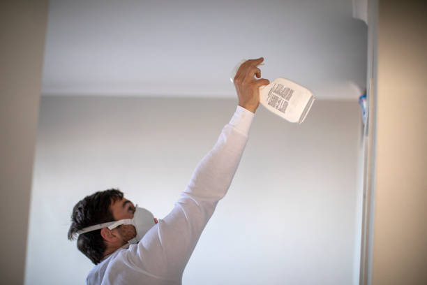 Mold Testing and Removal in Benton, KY