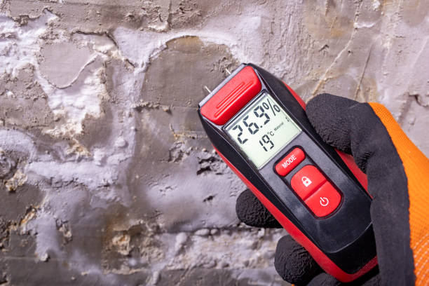 Best Crawl Space Mold Removal  in Benton, KY